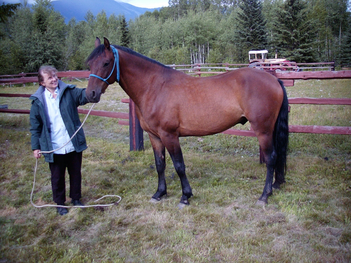 Disciplining the Trail Horse, horse Herd Mechanics, controlling Trail Horse