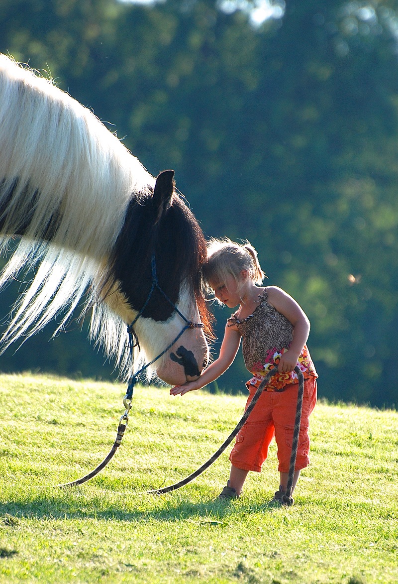 Love of Horses Photo Contest Winner
