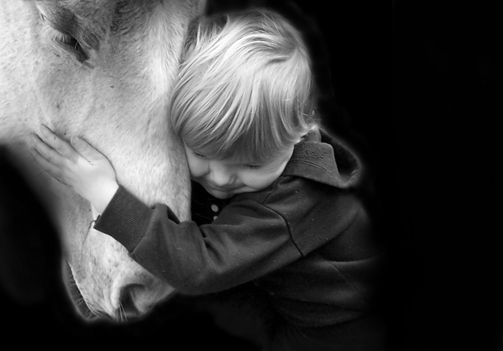 horse and child photo contest