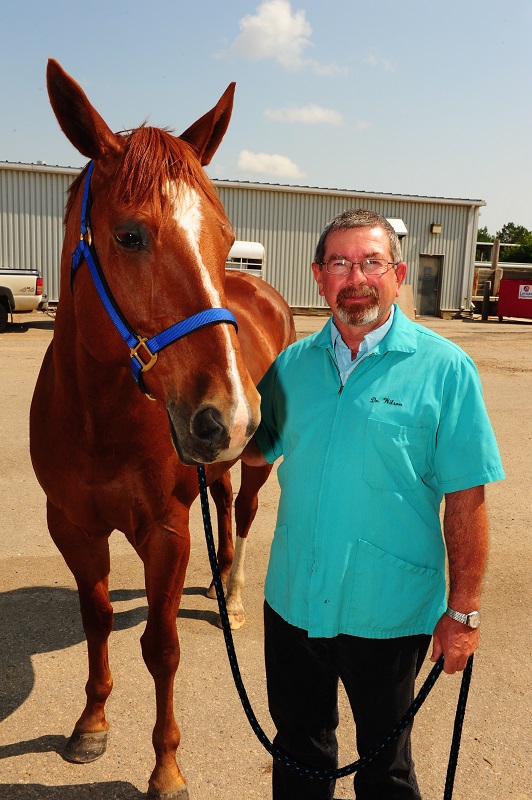 horse Laminitis Vaccine preventing equine laminitis Dr. David Wilson equine musculoskeletal western college of veterinary medicine lynne gunville