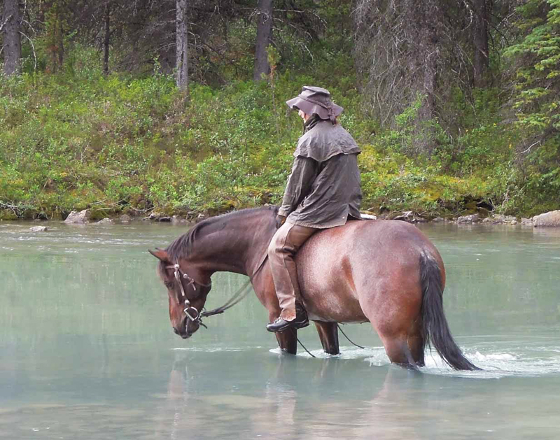 Traversing Canadian Rockies, Tania Millen, holidays on horseback, Alberta pack-trip, Azure Lake, Sulphur River, Jasper National Park, Summit pass, crossing Chown Creek