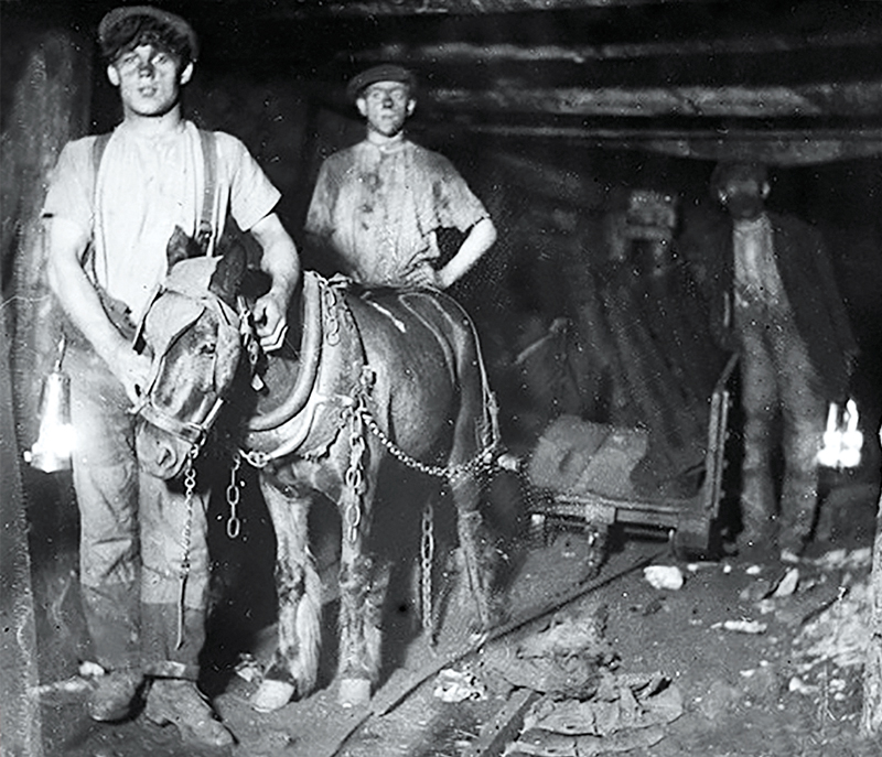 Pit Ponies, Pit Horses, pit pony history, miner Ceri Thompson, Canadian Coal Mining history, Sable Island, underground stables, Underground haulage, Coal Mining Canada