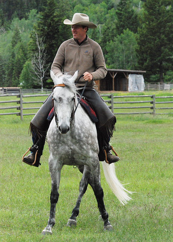 Jonathan Field, horse riding sideways, horse yoga, lateral equine exercises, half pass at trot, lateral equine exercises along fence, lateral equine exercises without fence, lateral equine exercises touching ribs, Jonathan Field Horsemanship
