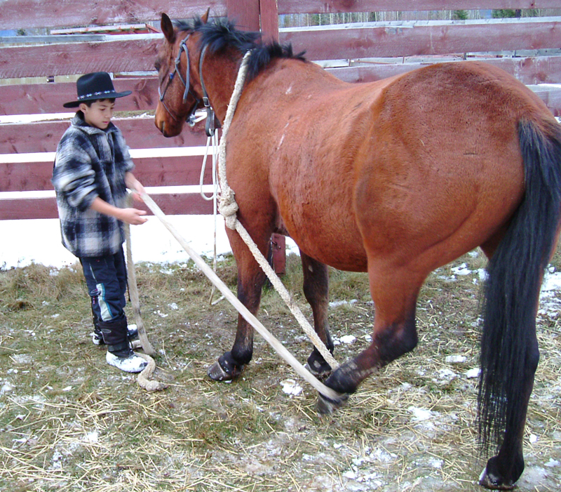 Stan Walchuk, Jr, safe trail riding with horses, horse riding safety, trail riding tips, desensitize horses