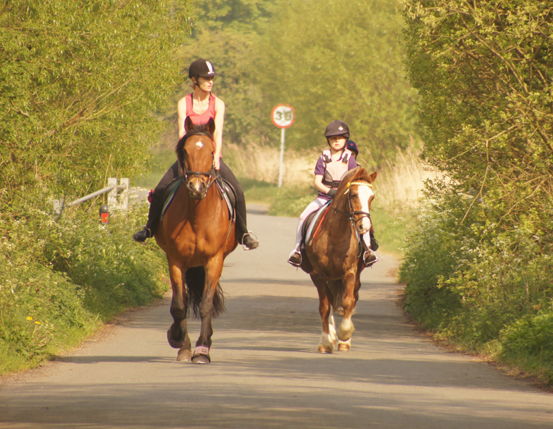 Road Safety for Equestrians | Horse Journals