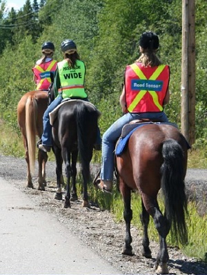 equine road safety, horse council BC, Highly visible clothing equine road safety, reflective vest when road riding horse, spook horse road riding, horse safety, horse rider safey