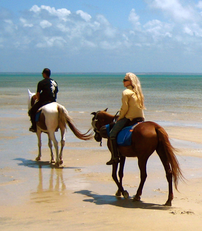 Oriane Lee Johnston, Vilanculos Mozambique africa, holidays on horseback, horse riding africa, horse riding abroad, swimming horseback, Varden Safaris horseback, Mavuradonha Wilderness, african horseback