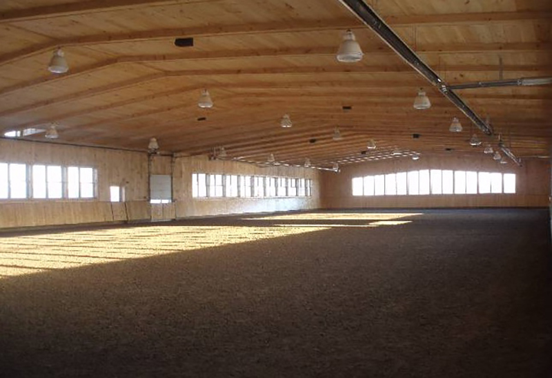 Kings Grant Farm, dream horse barn, fancy horse barn, fancy horse stable, luxury horse barn, luxury horse stable, fancy horse, Dutch Masters Construction, Dutchmasters, Ontario hunter facility