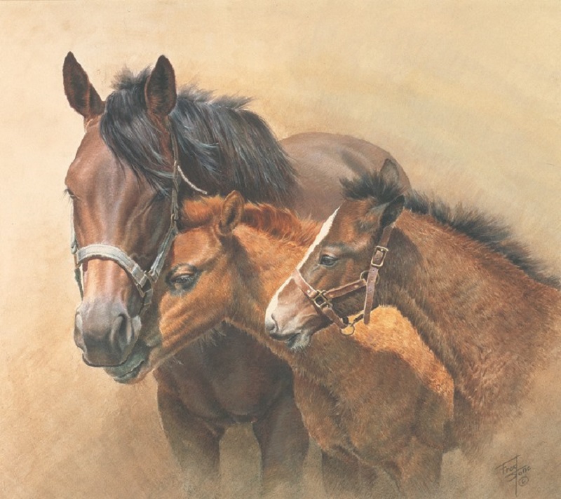 Equine artist Fred Stone death 2019, artist fred stone passes away