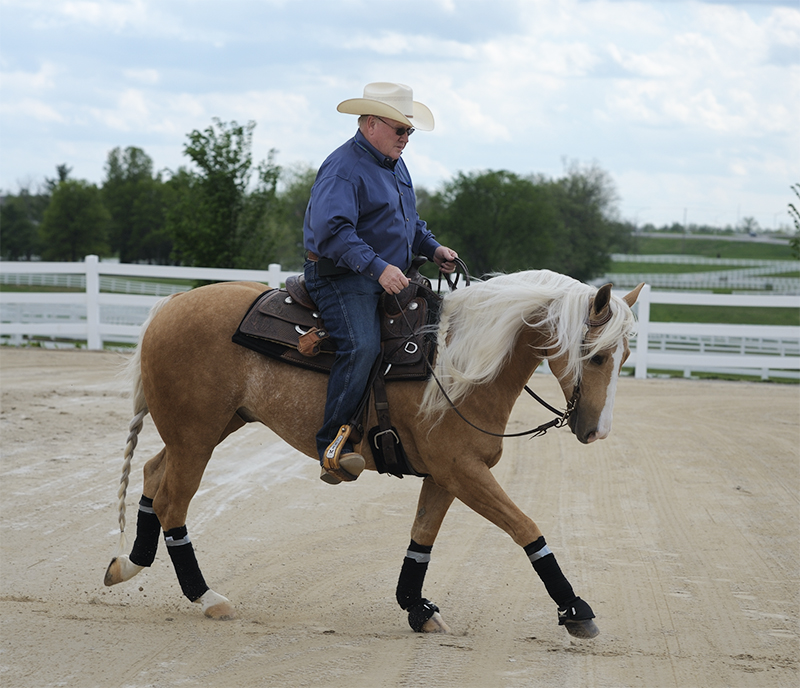 starting out right horse foot, nancy tapley, horse warm-up, Karen brain, horse riding technique, horse training 