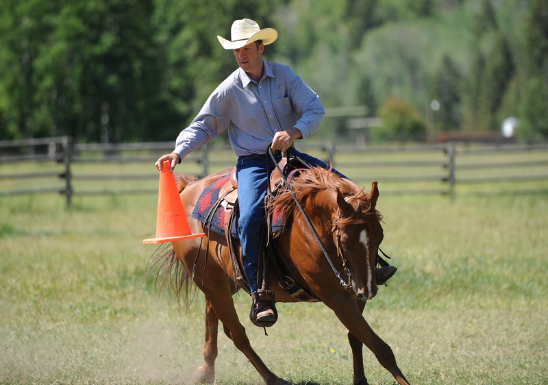 Jonathan Field, Jonathan Field Purpose Camp, Build Confidence in Your Horse, Cone on a Barrel horse exercise, horse jump over log, improve technical horse skills, horse obstacles, increase confidence in horse