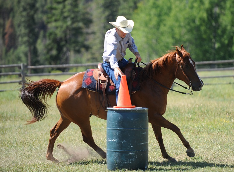 Jonathan Field, Jonathan Field Purpose Camp, Build Confidence in Your Horse, Cone on a Barrel horse exercise, horse jump over log, improve technical horse skills, horse obstacles, increase confidence in horse