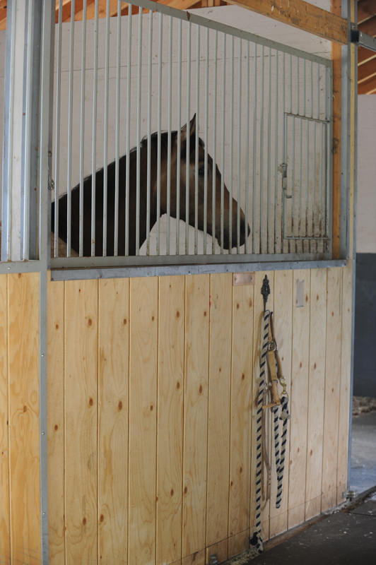 horse Barn Safety Tips, smoking in barn, horse barn safety hazards, horse barn emergency plan, horse barn motion-detecting lights, Horse Barn smoke detectors