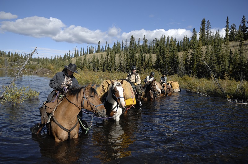Shawn Hamilton, horse holidays, horse holidaying, equine holidays, canadian wilderness, Yukon Horsepacking Adventures, whitehorse horse riding