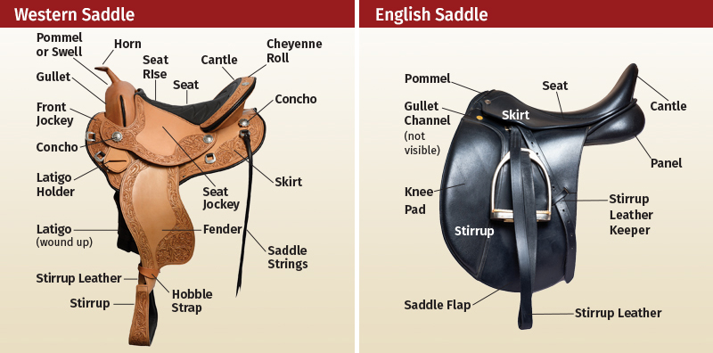 The Difference Between English And Western Riding  