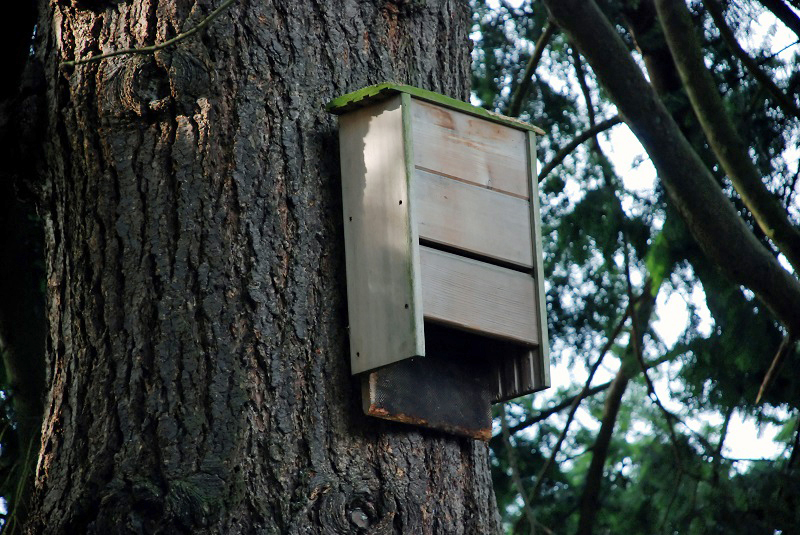 Help Your Horse Survive the Winged Pests of Summer | Horse Journals