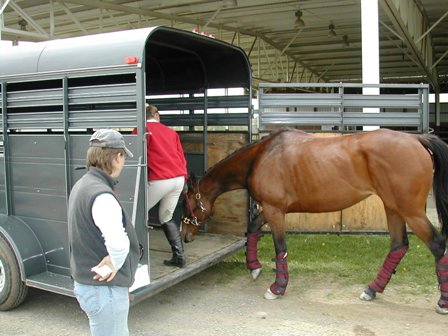 how to load a horse in a trailer, kevan garecki, my horse won't load, horse trailering, train a horse for trailer, de-spook horse, claustrophobic horse tranquilizers, horse sedation, equine sedation, acepromazine horse