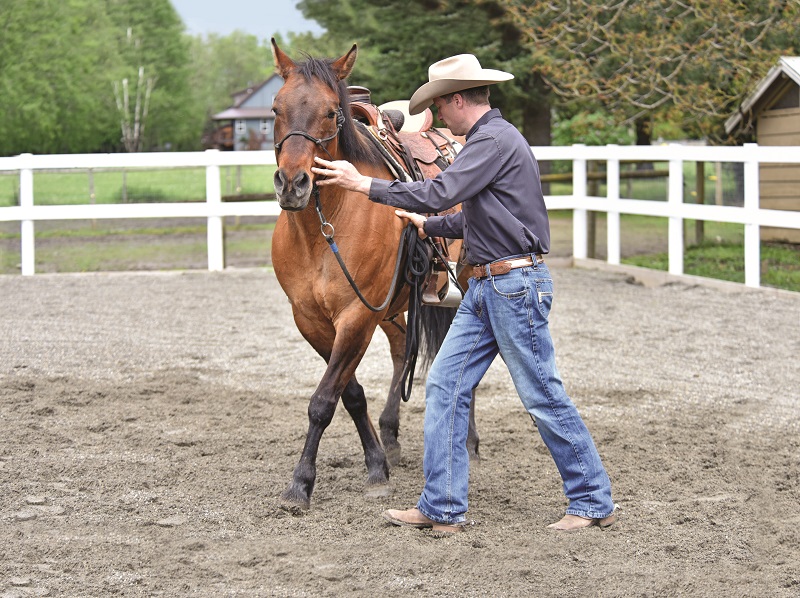 Jonathan Field, how to stop horse bucking, why is horse bucking, horse won't canter trot, groundwork for horse