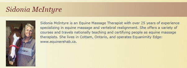 Sidonia McIntyre, Equine Massage Instructor, equine hyperflexion, equine rollkur, equine flexion, Equine Soft Tissue Damage 