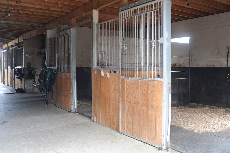 financial cost of horse riding, financial cost of horses, horse budget, equine budget, horsekeeping, financial cost of horsekeeping, save money on horse hay, running a horse farm, running an acreage
