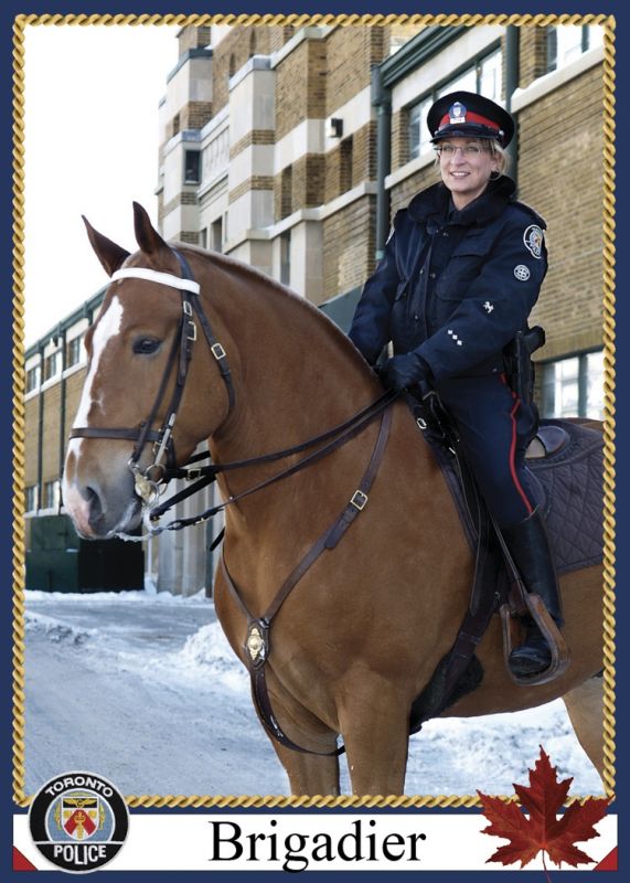 police horse brigadier, canadian horse, constable bradfield brigadier, police horse death