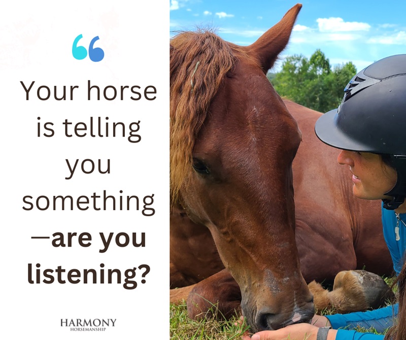 Harmony Horsemanship, horse behaviour psychology, stop horse spooky, horse tense, horse lazy, lethargic horse, exercises for horses, connecting with horse