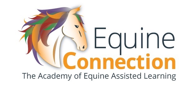 equine connection equine-assisted learning certification,  horse courses calgary, virtual horse courses, riding for disabled courses, therapeutic riding, continuing education equine courses