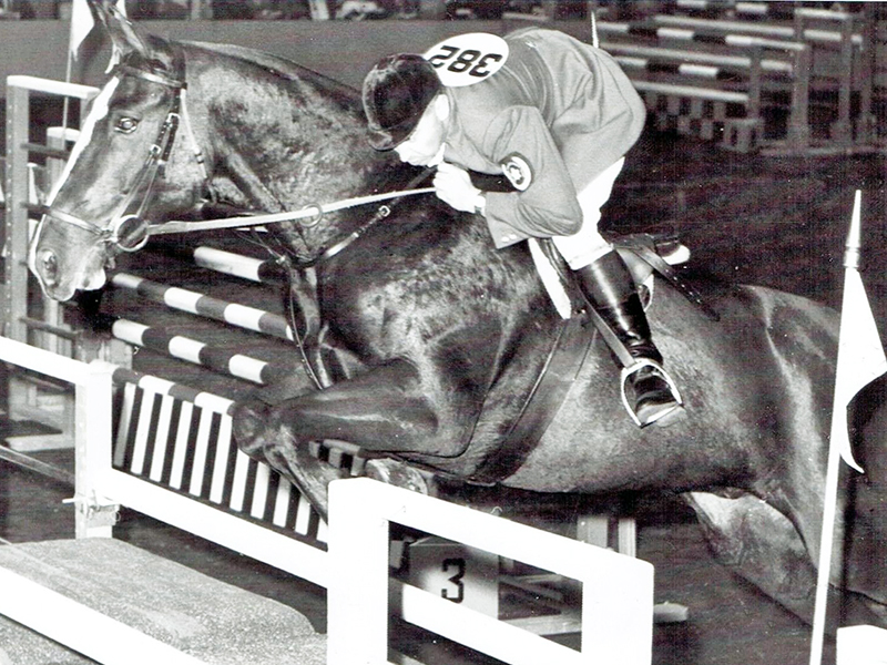 Thomas Gayford National Horse Show, jim elder 1986 mexico olympics, jim day canadian show jumping team, horse history canada, famous show  jumpers canada
