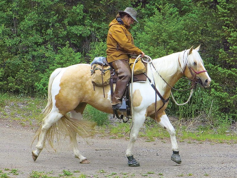 camping with horses canada, horseback riding canada, riding horses in banff national park, riding horses rocky mountains, horseback riding western canada, mount assiniboine provincial park, tania millen