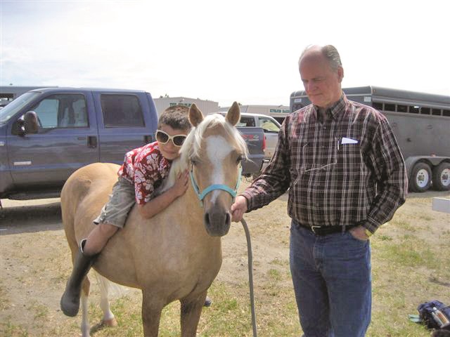 history of welsh pony and cob, welsh mountain pony, coyote run welsh, daventry farms alberta, section c welsh ponies and cob, howran hills farm welsh, connecting dreams farm