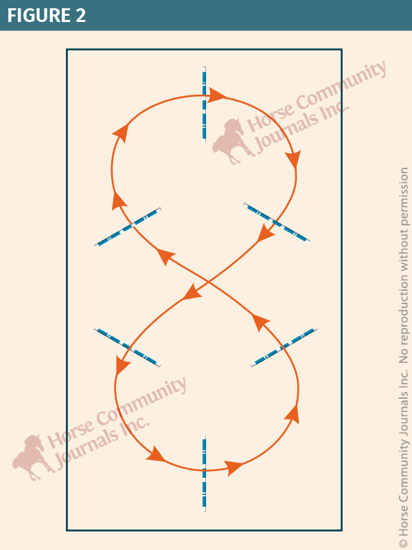 Lindsay Grice, Equestrian Canada coach and judge, poles horse, exercises with poles horse, horse obstacles, help horse straight, adjust horse's stride, suppleness horse, schooling exercises horses, pole exercises horses