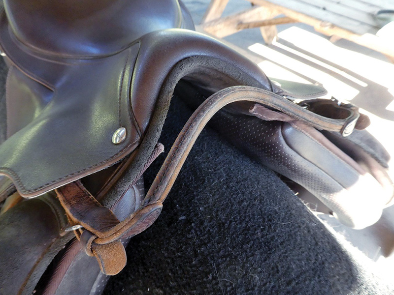 hand hold d-rings pommel of saddle