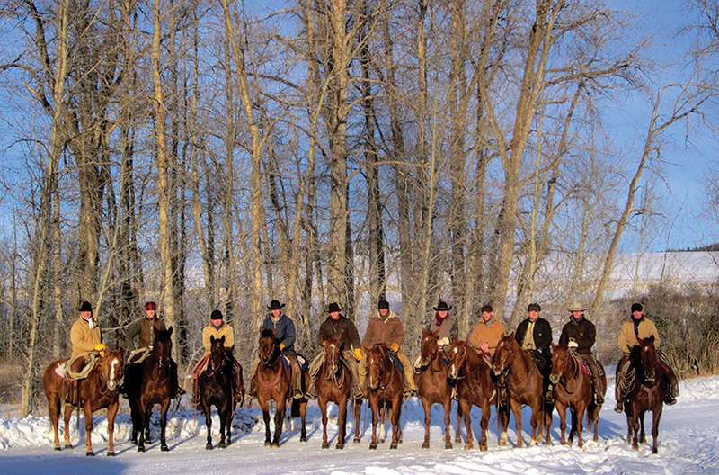 dogs and horses, cowboys in canada, gang ranch cowboys, herding cattle careers canada, riding horses career canada, cowboy careers canada, feedlot careers canada, douglas lake ranch, mantracker, bar u ranch