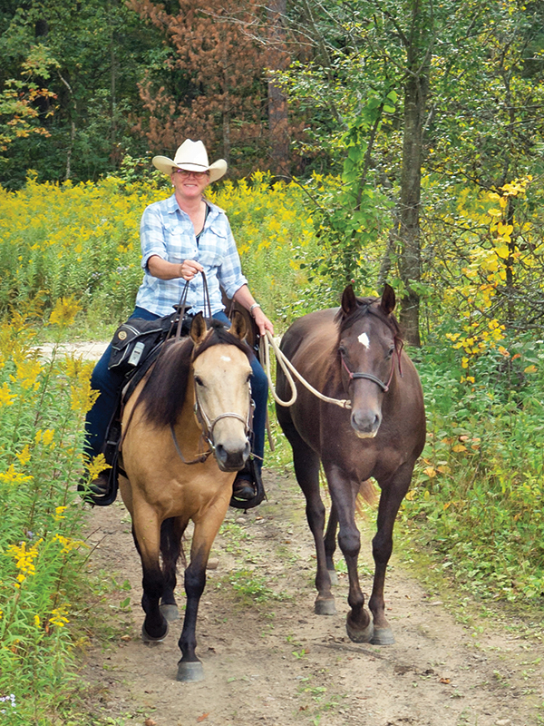 walking workouts horse, jec ballou horse fitness, keeping horse fit, groundwork horse, conditioning exercises horse, equine therapeutic exercises horse