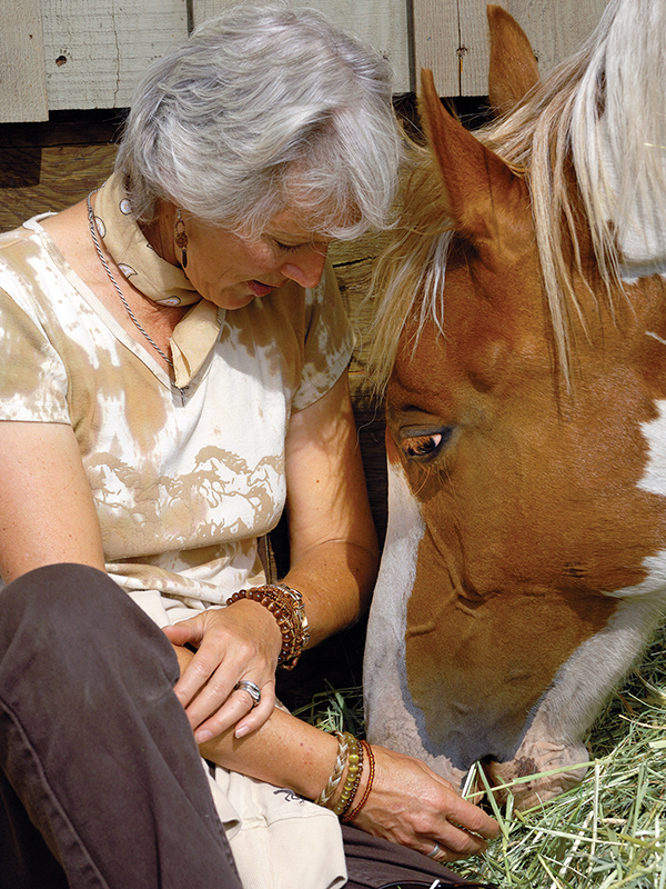horse psychology, how to be respectful of my horse, how to talk to horse, helping my horse hard times, alexa linton