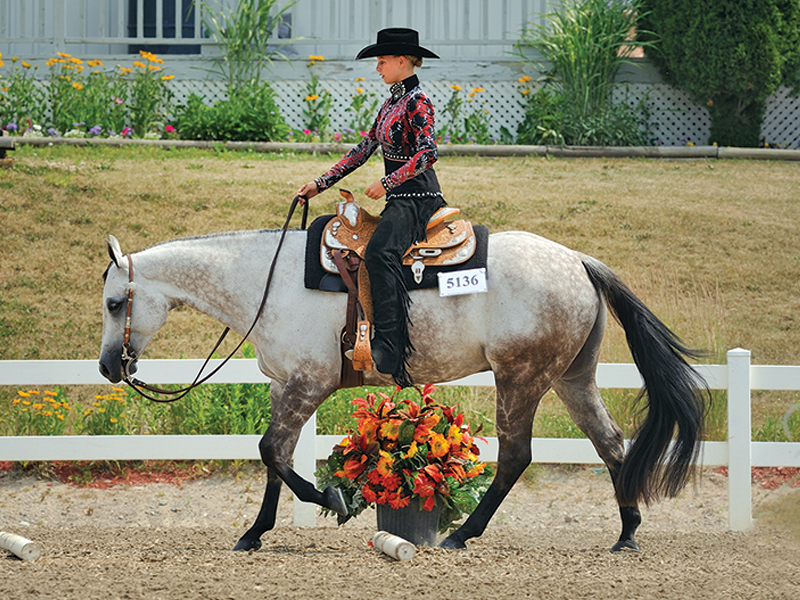 Lindsay Grice, Equestrian Canada coach and judge, poles horse, exercises with poles horse, horse obstacles, help horse straight, adjust horse's stride, suppleness horse, schooling exercises horses, pole exercises horses