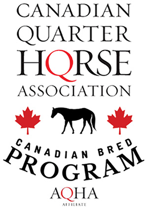 canadian quarter horse association