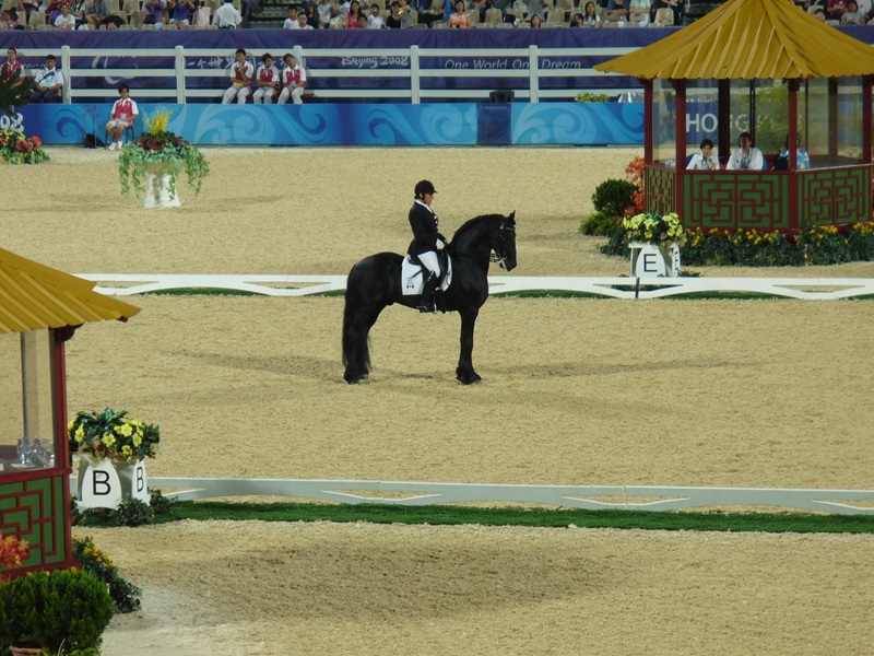 eleonore elstone platinum friesian stallion, 2018 paralympic games dressage