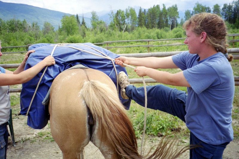 despooking horse, preparing a horse for the trail, backcountry horse riding, horse is spooky, de-spooking exercises horses, how to keep horse calm, stan walchuk