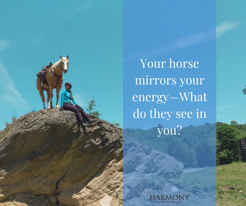 Harmony Horsemanship, horse behaviour psychology, stop horse spooky, horse tense, horse lazy, lethargic horse, exercises for horses, connecting with horse