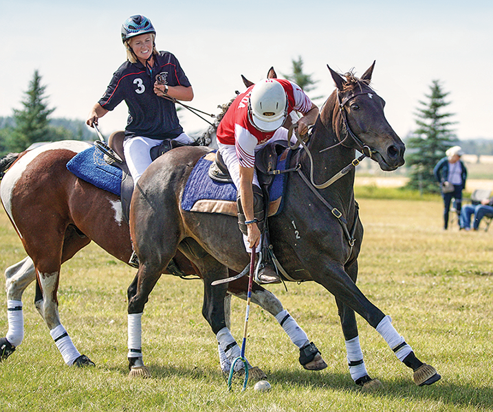 polocrosse in canada, how to find a horse for polocross, canada polocrosse, polocrosse in edmonton, alberta polocrosse, saskatchewan polocrosse