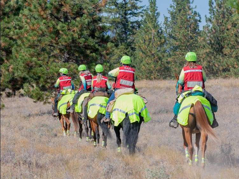 princeton ground search and rescue mounted team, donkeys pgsr