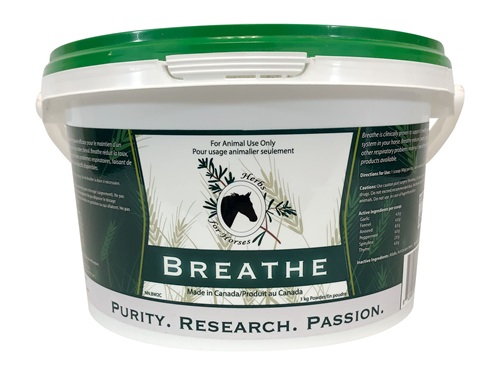 Breathe equine respiratory support, supplements for equine asthma, treatment horse heaves