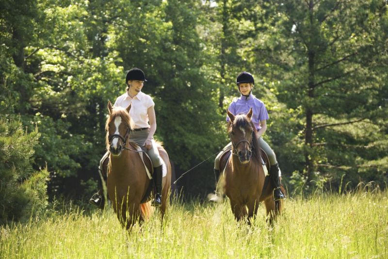 Trail Riding tips, Pat Barriage, Trail etiquette rules, Horse Industry Association Alberta, horse trail riding etiquette