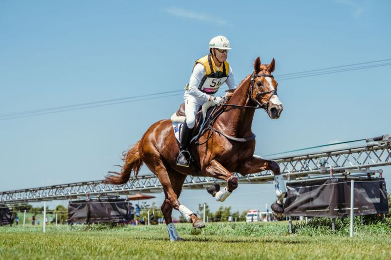 eventing team olympics, winners of olympic horse events, tokyo olympics equestrian events, julia krajewski eventing, oliver townend eventing, laura collett, tom mmcewen