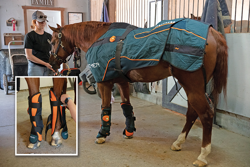 rehabilitation for horses, equine rehab, endurance equine, hill top arena and spa, equivibe, undeniable equine services, bemer horse products, therapies for injured horse 