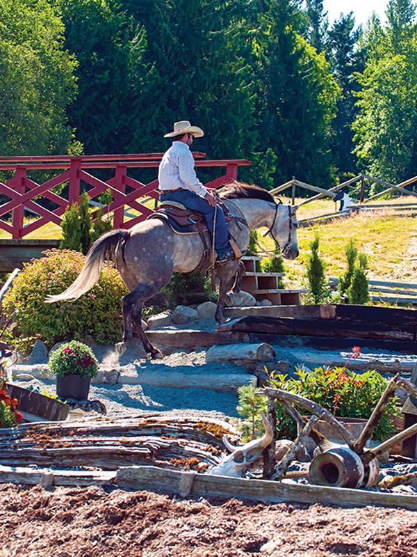 mountain trail horse, trail horses, oregon horse center, horse obstacles, tania millen, debbie hughes, bc mountain trail, imtca canada, dragonfly stable, grasswood horse park, hanging h arena, oak springs farm, sagewood trail course, shumway lake equestrian centre