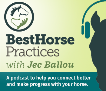horse riding blogs, jec ballou podcast, besthorsepractices podcast