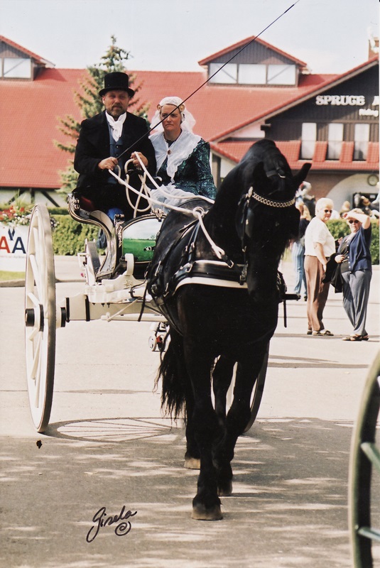 Bonnie View Farm Nobleford Alberta, Spruce Meadows Alberta, Friesian pulling horse carriage
