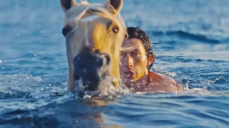 adam driver horse in water ad, burberry horse ad, horses in marketing, commercials with horses